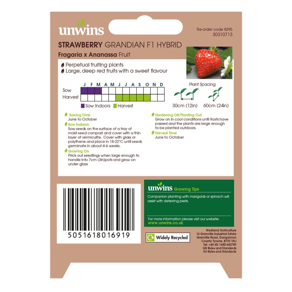 Unwins Strawberry Grandian Seeds 5051618016919 2